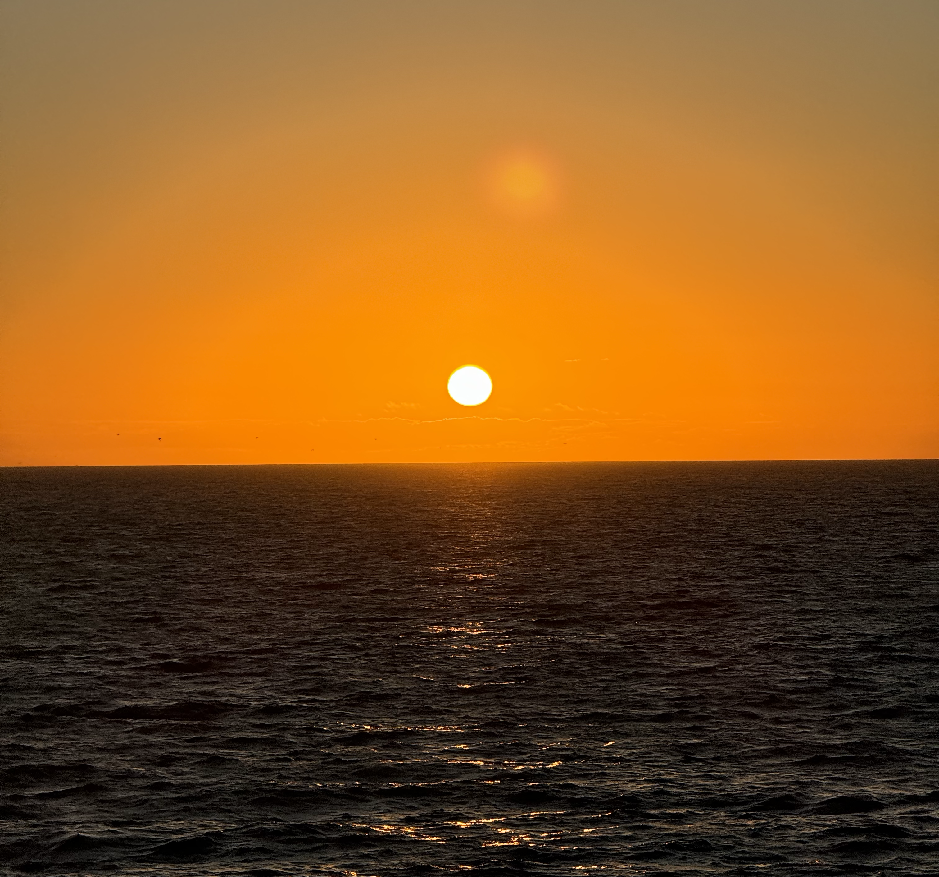 i thought everyone went to jail